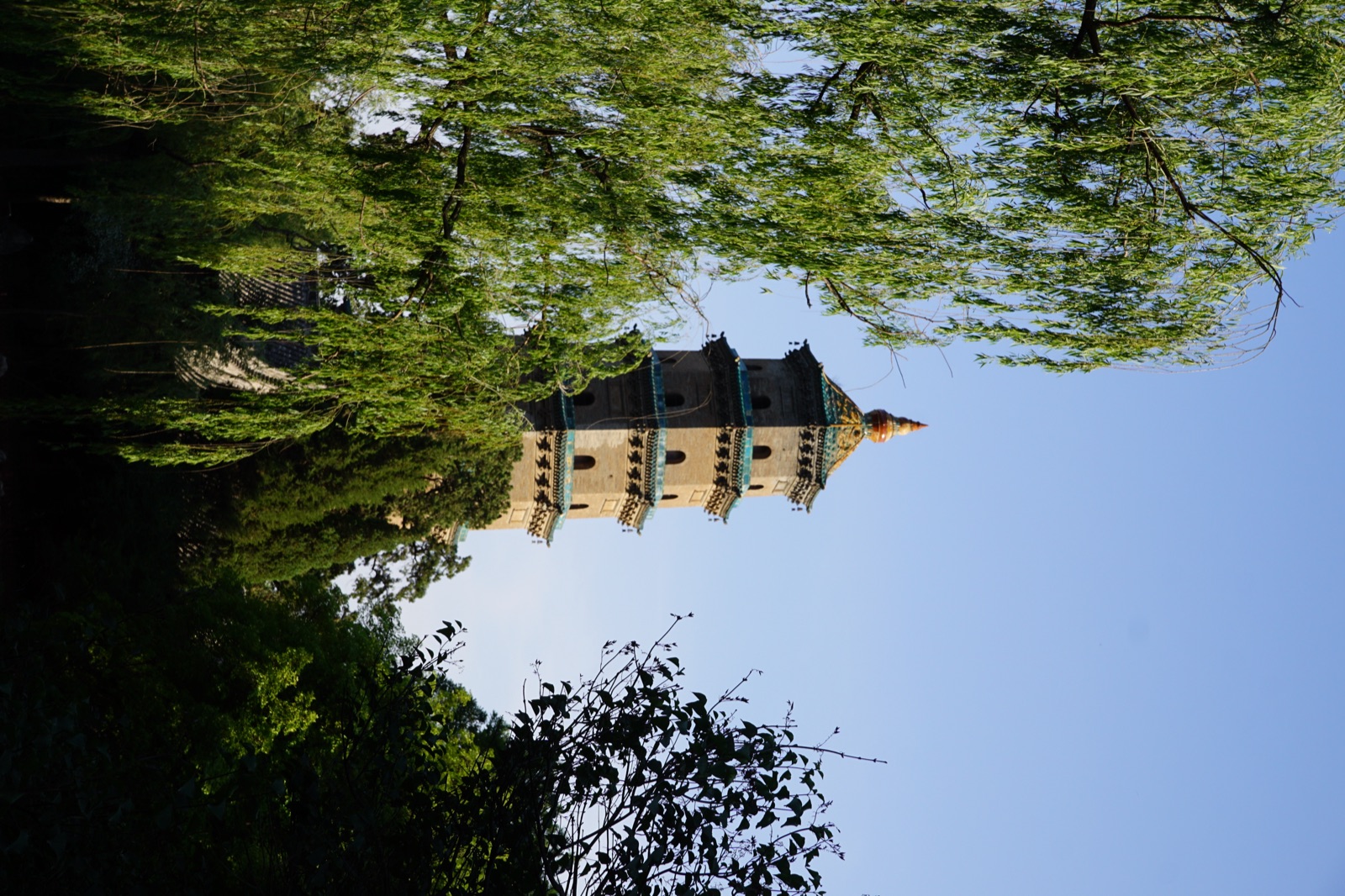 Photography 4